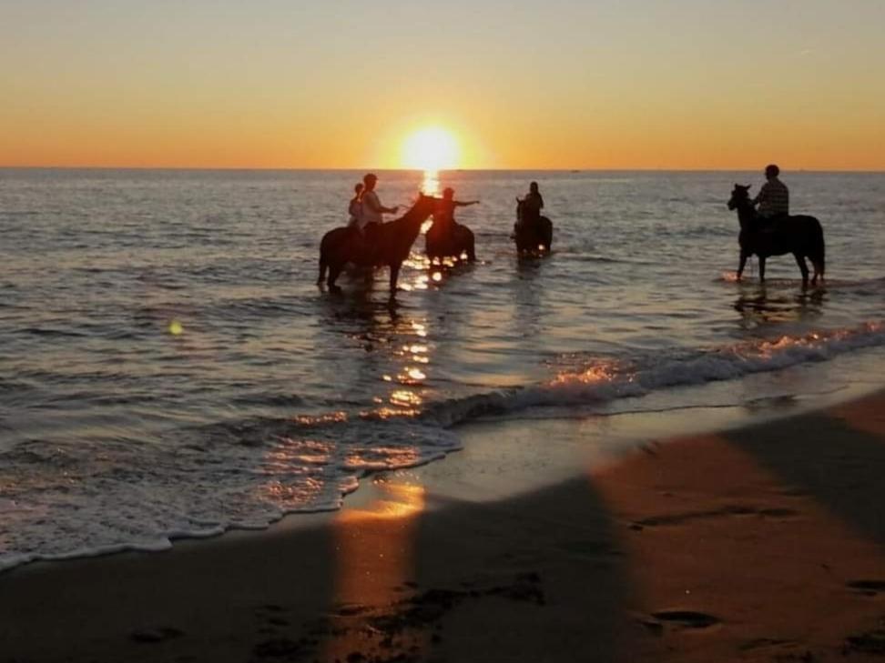 Mediterraneo Travel Gela Zewnętrze zdjęcie